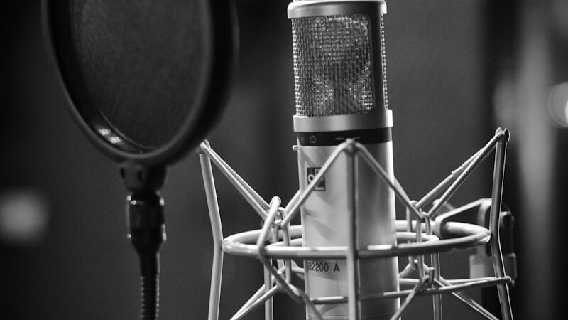 grayscale photo of condenser microphone beside pop filter