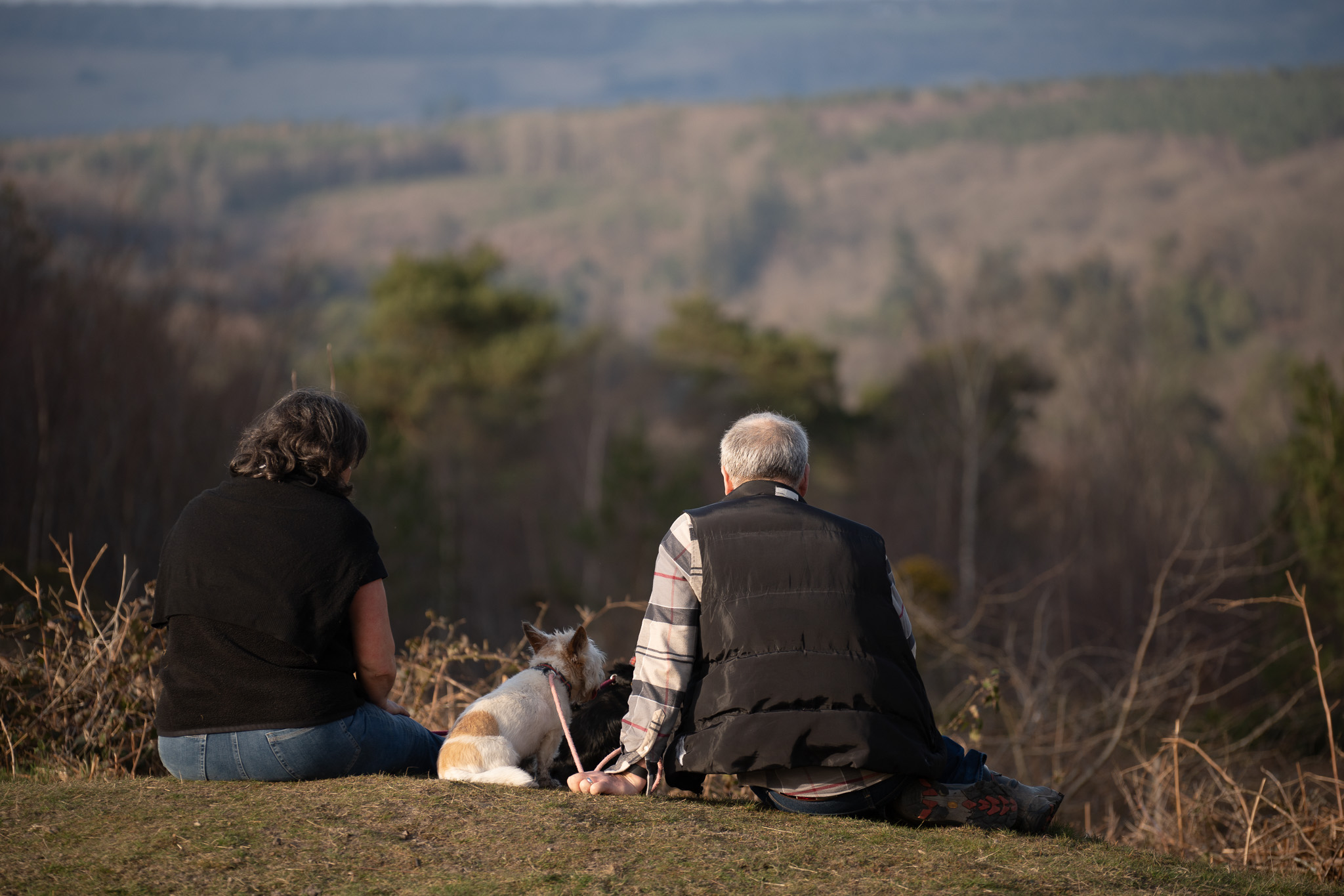 6 reasons why Leith Hill is the perfect city escape