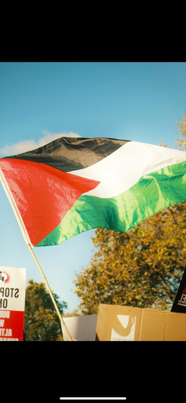 Voices for justice: a pro-Palestine activist speaks out on the struggle for human rights and freedom